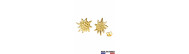 BOUCLES D'OREILLES EDELWEISS OR 1,5cm